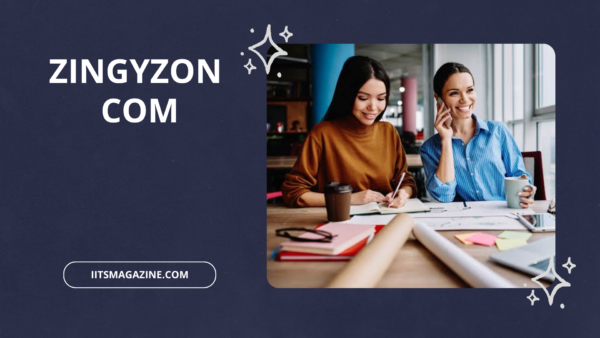 Zingyzon com A Complete Guide to Its Features, Categories, Benefits, and User Experience